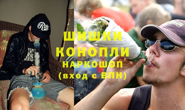 apvp Алексин