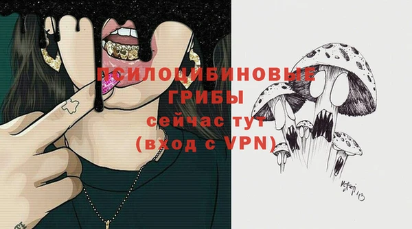 apvp Алексин