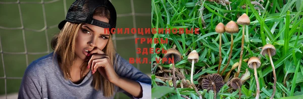 экстази Алзамай