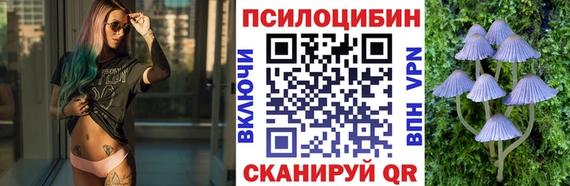 где найти   Гусь-Хрустальный  Галлюциногенные грибы GOLDEN TEACHER 